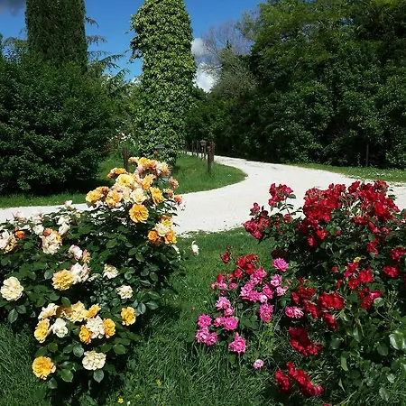 Agriturismo Il Molino Della Cagnoletta *