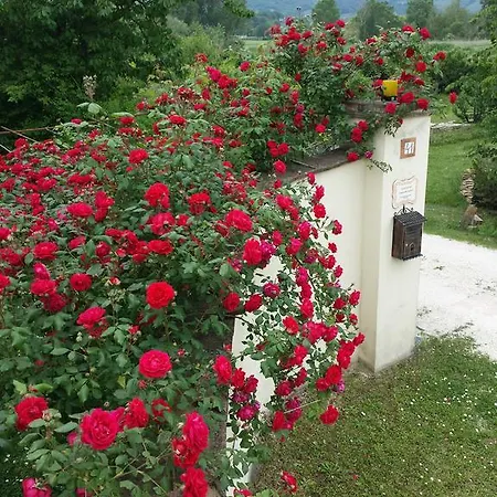 Agriturismo Il Molino Della Cagnoletta Bettona